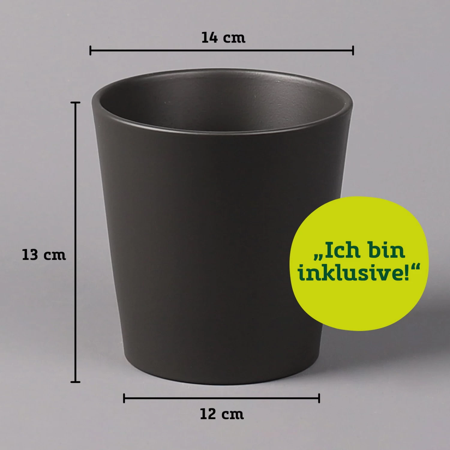 Gummibaum 'Robusta' In Topf Anthrazit, Topf-Ø 12cm, Höhe Ca. 40-45 Cm, 2er-Set – Bild 5
