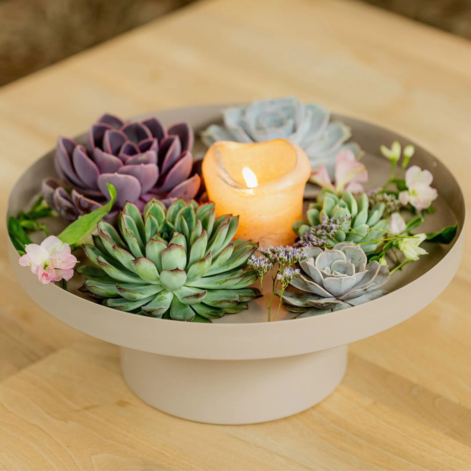 Schnittecheverien-Mix, Ø 16 Cm, 2er-Set – Bild 6