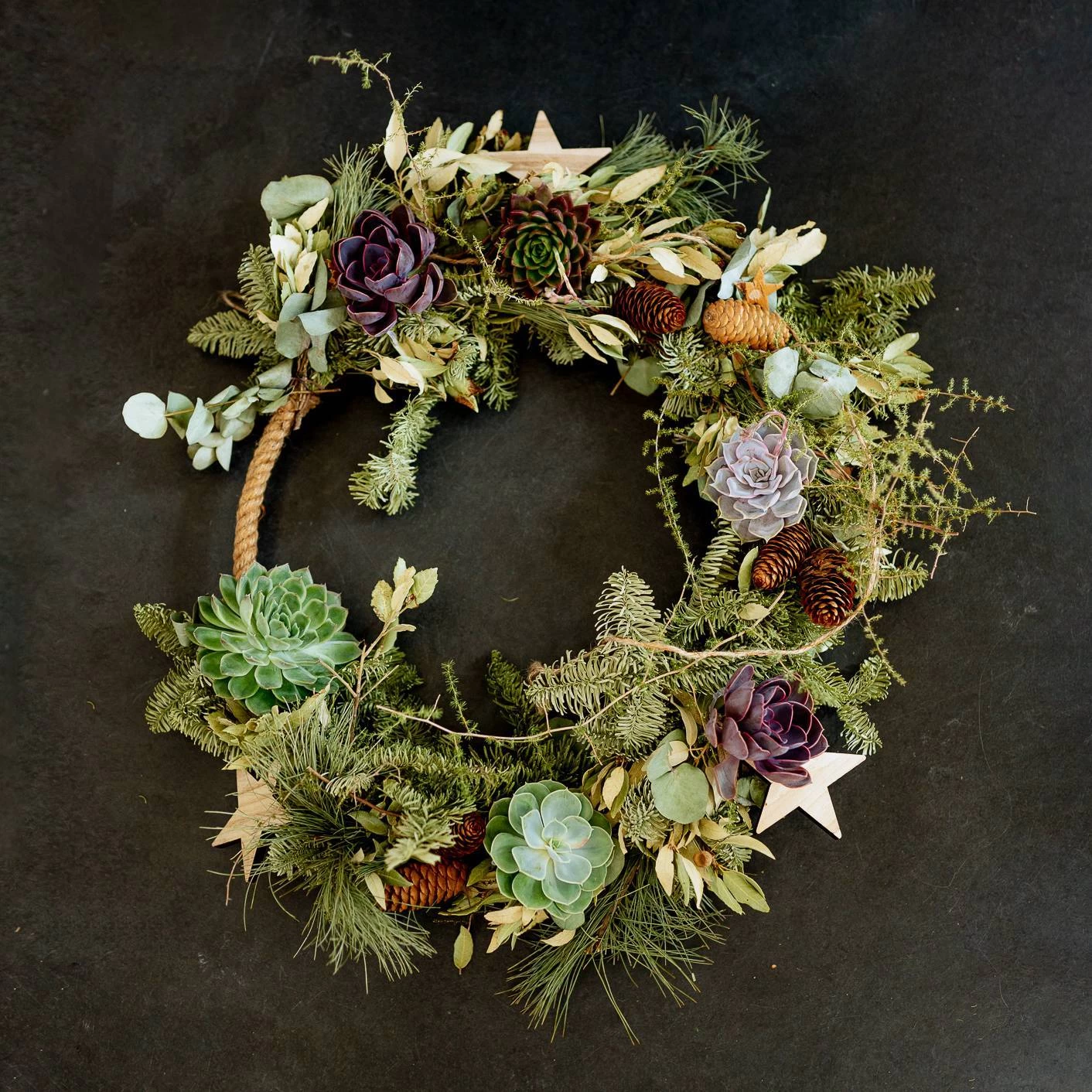 Schnitt-Echeveria Mix, 5 Stück In DIY Box, 7-10 Cm Ø – Bild 6