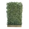 Hecke Am Laufenden Meter® Efeu, 120x180 Cm