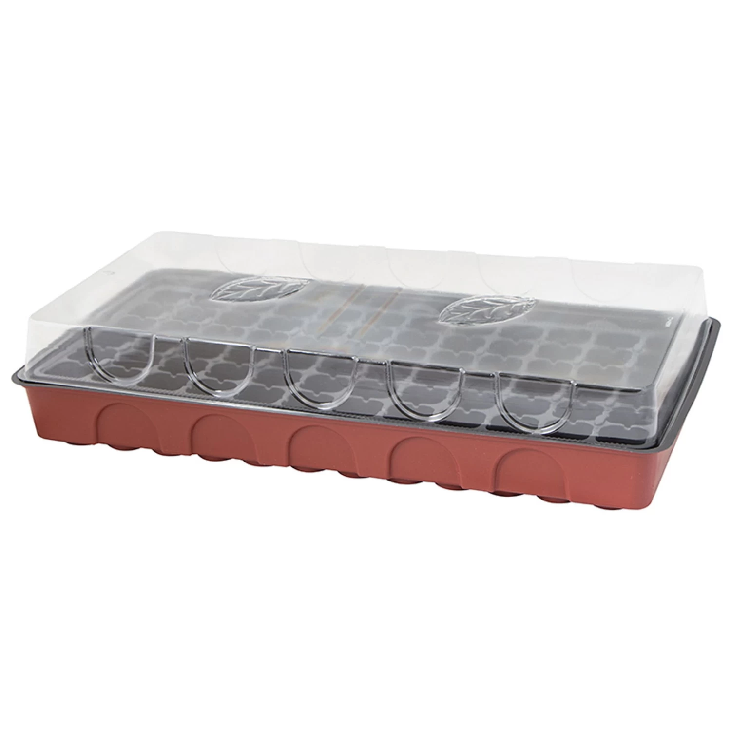 Anzuchtgewächshaus Mit Deckel & Topfplatte, 72 Töpfe Gelocht, Bordeaux – Bild 2