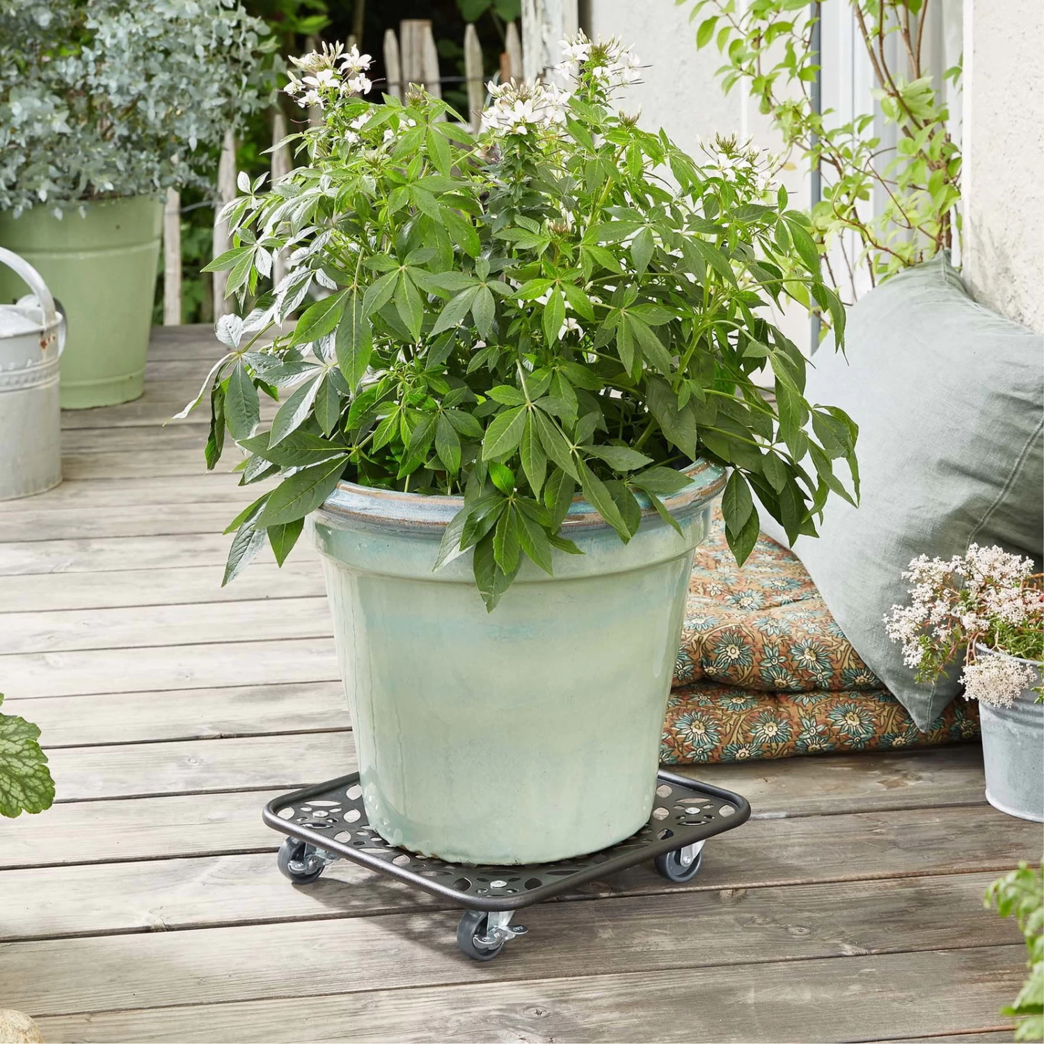 Pflanzenroller GH0936/0937, Tragkraft 80 Kg, Schwarz, Ø 30 Cm – Bild 2