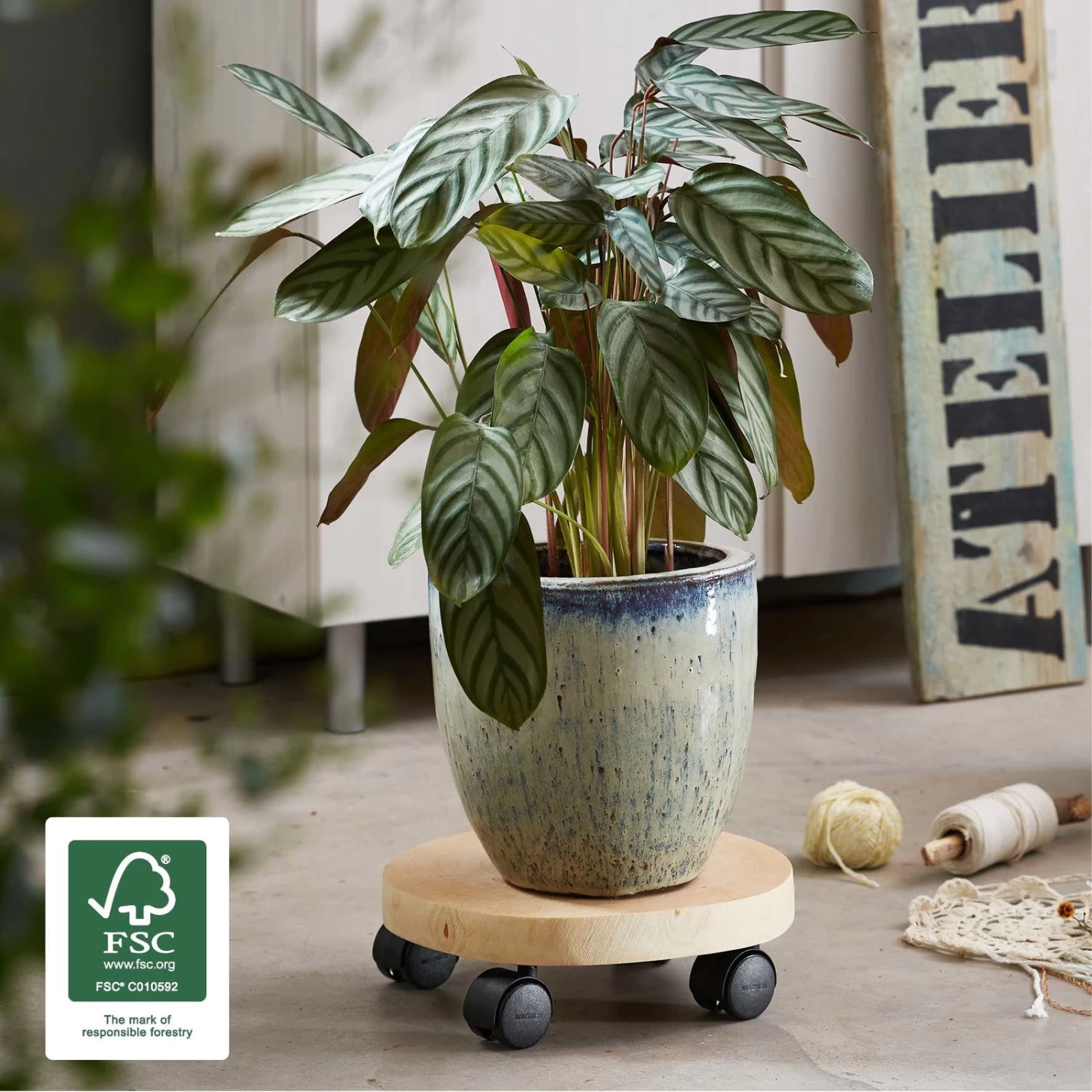 Multi Roller GH0268, Tragkraft 50 Kg, Natur, Ø 25-30 Cm – Bild 2