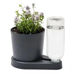 Kräuterheld, Anthrazit, PP/PET, 14 X 14 X 22 Cm