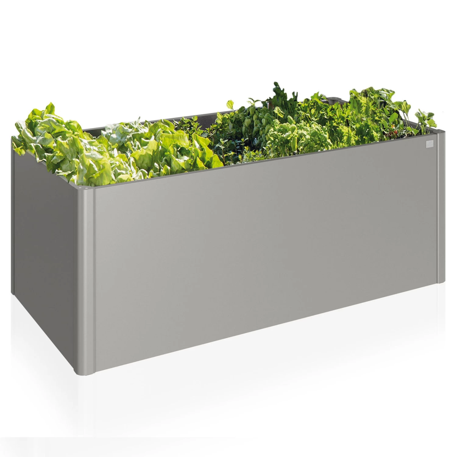 Biohort Hochbeet Als Schöner Hingucker – Bild 2