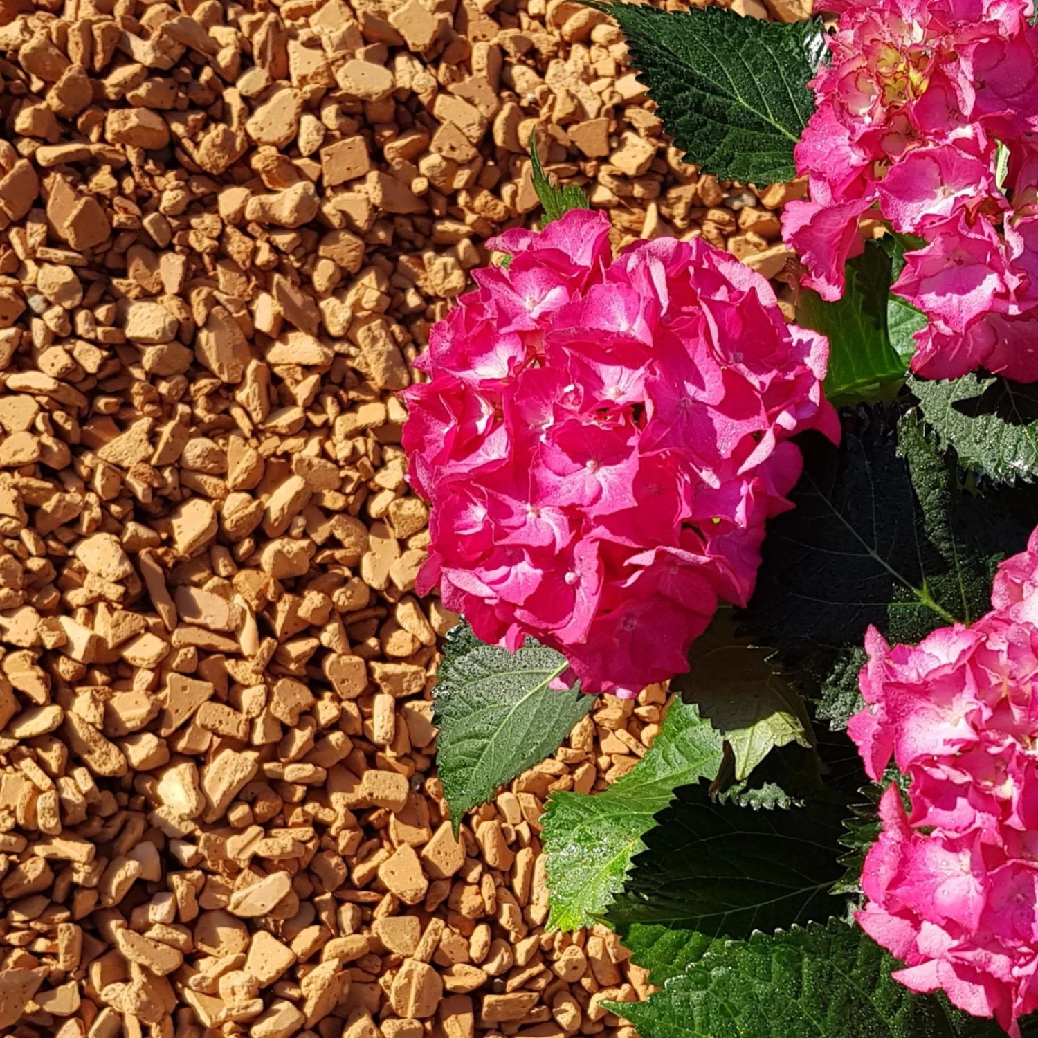 Ziegel-Granulat Granupur 4-20 Mm, 20 Liter – Bild 2