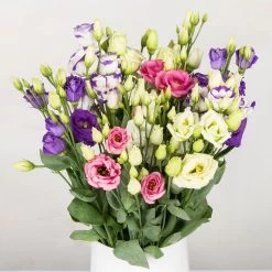 Gemischter Blumenbund 'Lisianthus' Inkl. Gratis Grußkarte
