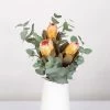 Blumenbund Protea & Eukalyptus, Inkl. Gratis Grußkarte
