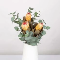 Blumenbund Protea & Eukalyptus, Inkl. Gratis Grußkarte