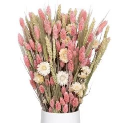 Weißer Trockenstrauß & Rosa Glanzgras, 3er-Set, Länge Ca. 55 - 70 Cm