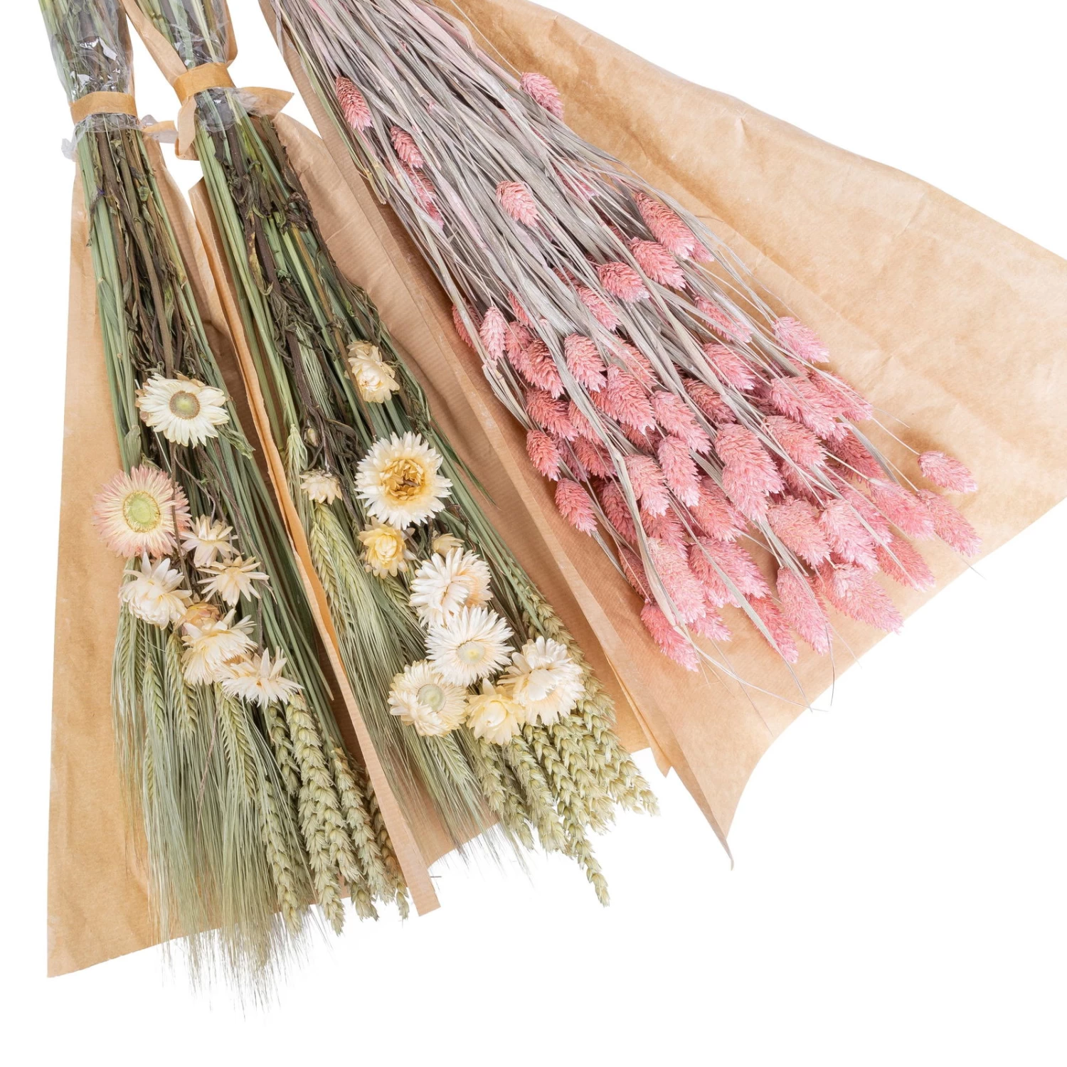Weißer Trockenstrauß & Rosa Glanzgras, 3er-Set, Länge Ca. 55 - 70 Cm – Bild 2