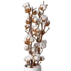 Baumwolle, 3er-Bund, 2er-Set