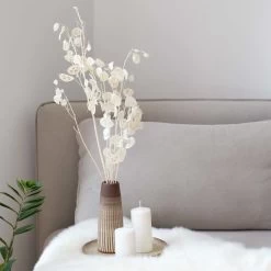 Silbertaler, Getrocknet, Lunaria, Ca. 80 Cm Lang