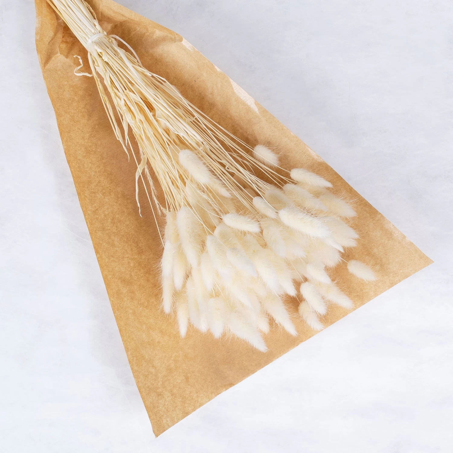 Samtgras Im Bund, Gebleicht Und Getrocknet, Ca. 65 Cm – Bild 2