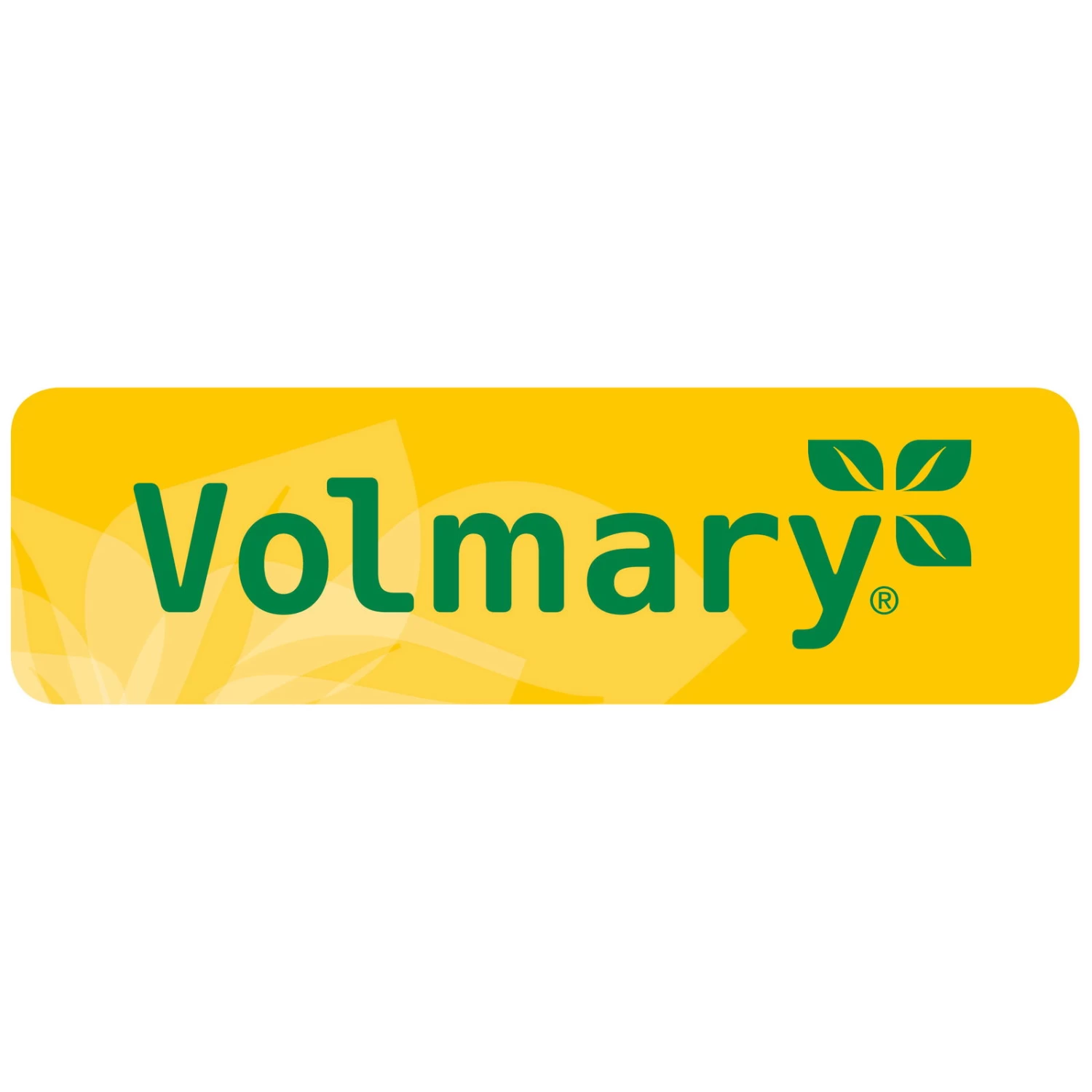 Bio Bananenpflanze, Topf-Ø 12 Cm, 2er-Set – Bild 6