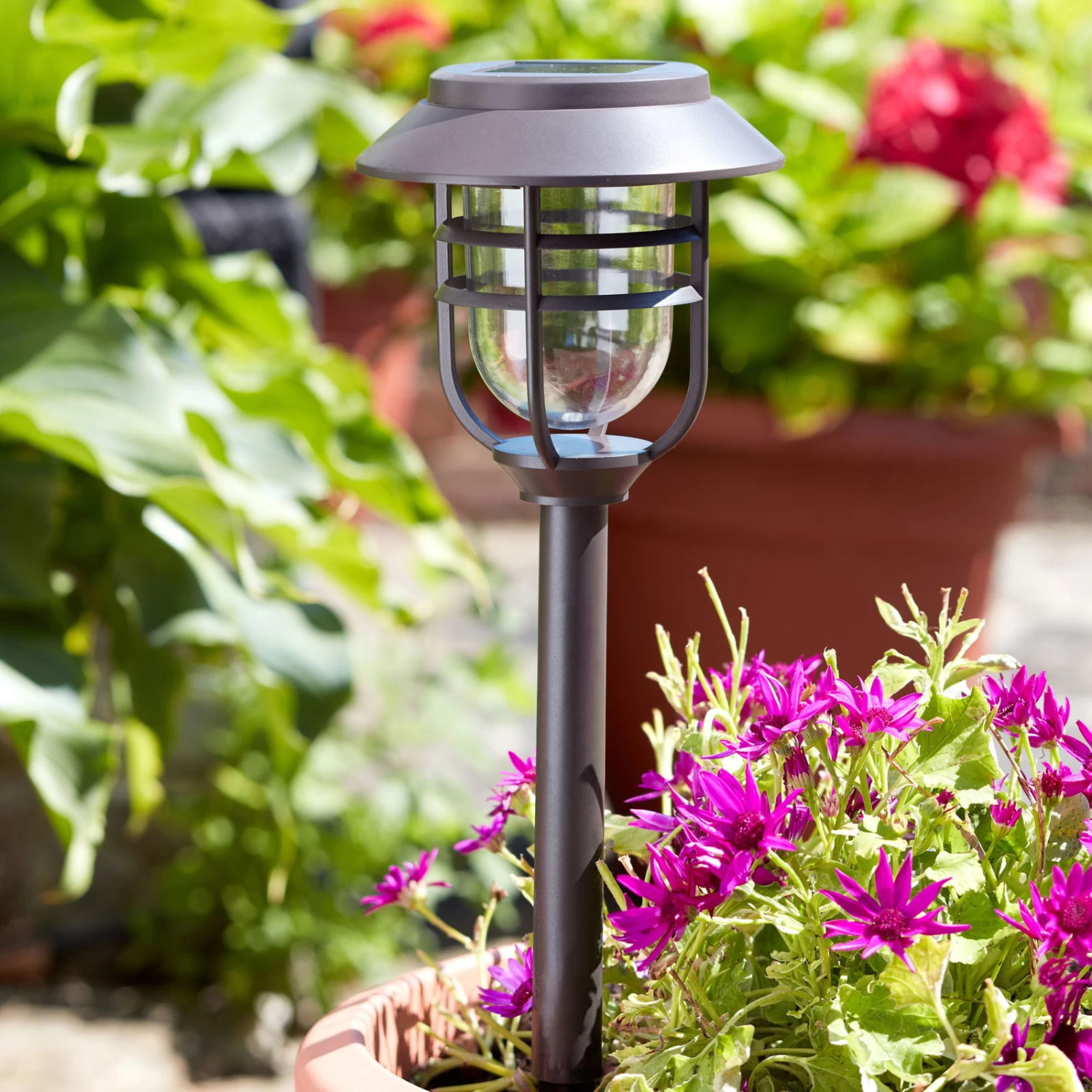 Avant Stableuchte, 5er-Pack, Schwarz, Ø 13 X 43 Cm