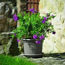 Euro 3 Plast Pflanzkübel Geo Taupe