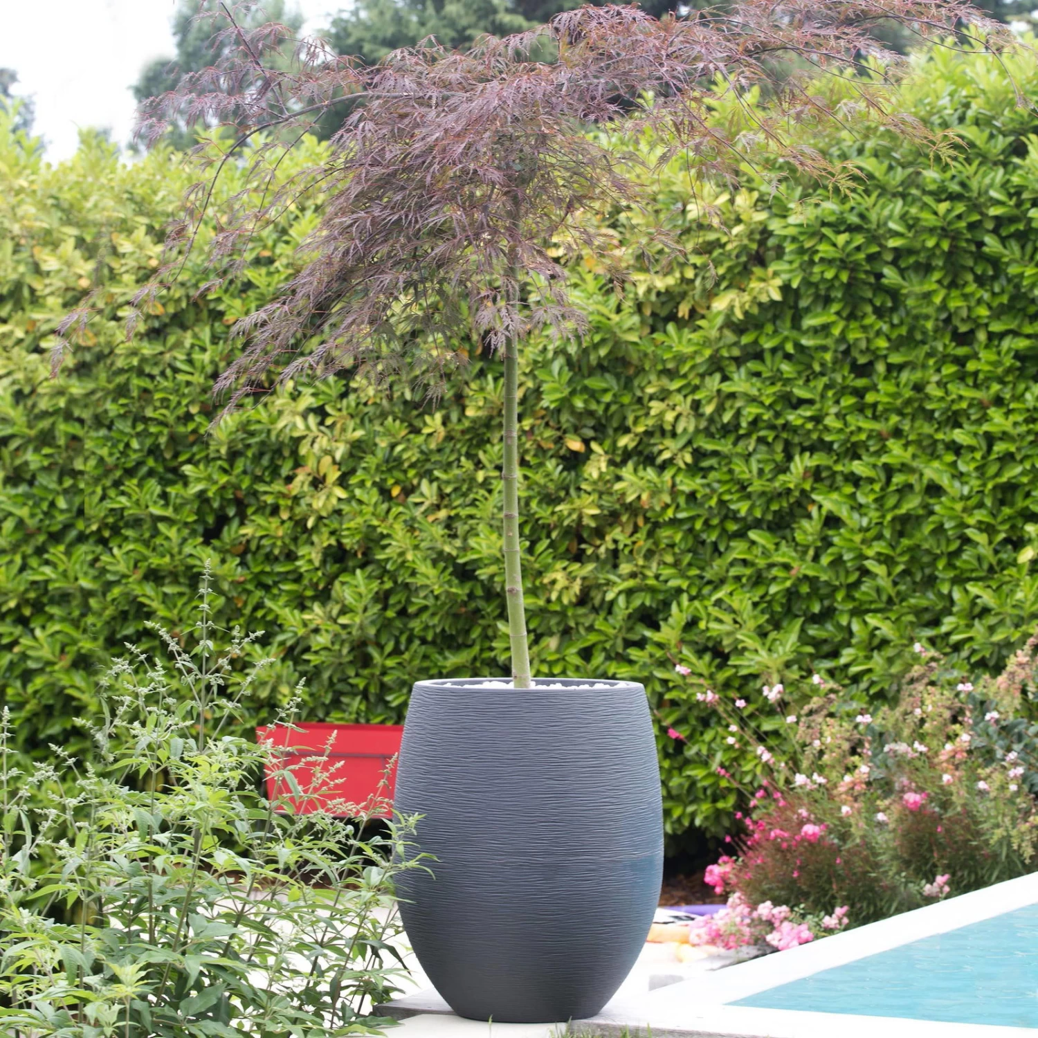 Pflanzgefäß Graphit Egg, Anthrazit, Wasserdicht, Robust – Bild 2