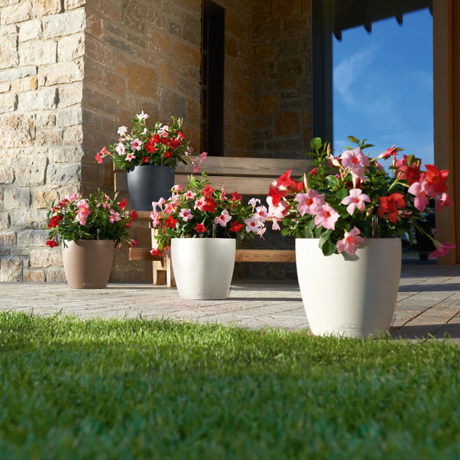 LECHUZA Pflanztopf 'Classico Color 60', Grau, Ø 60 X H 55,5 Cm – Bild 3