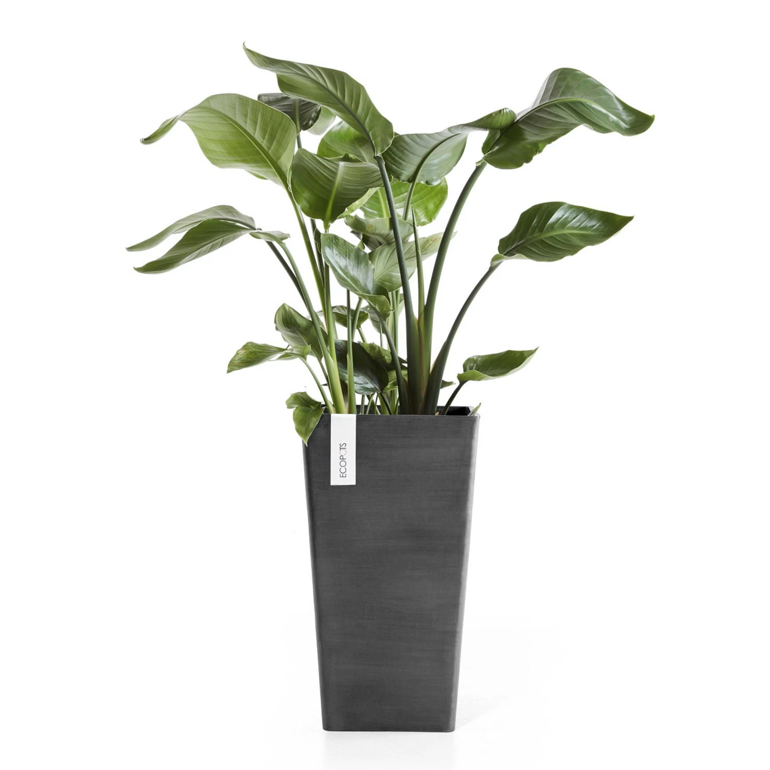 Pflanzgefäß 'Rotterdam MidHigh', Dunkelgrau, Ø 31 X H 56 Cm – Bild 2