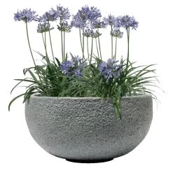 Pflanzschale Rock Line Banham, Granitgrau, Glasfaserverstärkter Kunststoff