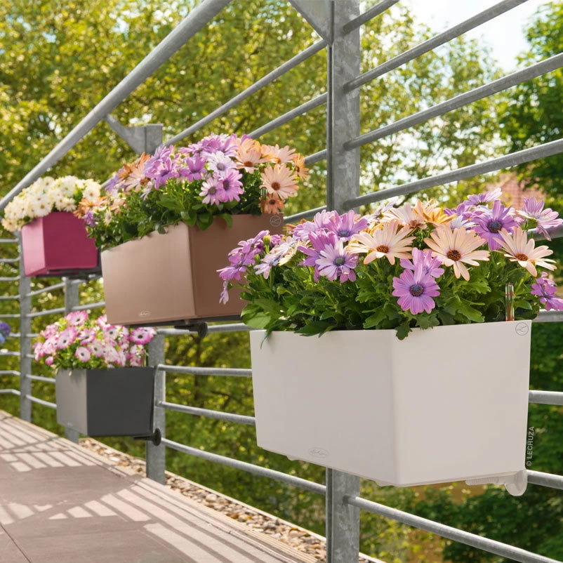 LECHUZA Balconera Color All-in-One-Set, Weiß, 50 X 19 X 19 Cm