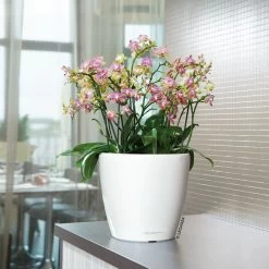 LECHUZA Classico Premium 28 LS, Weiß Hochglanz, All-in-One-Set, Ø 28 Cm, H:26 Cm