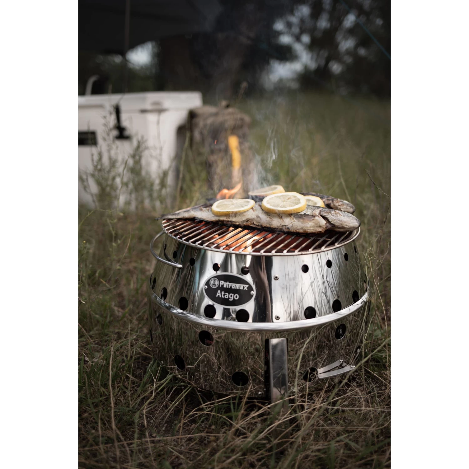 Holzkohlegrill Petromax Atago, Grau, Edelstahl, Ca. 28 X 40 X 40 Cm – Bild 4