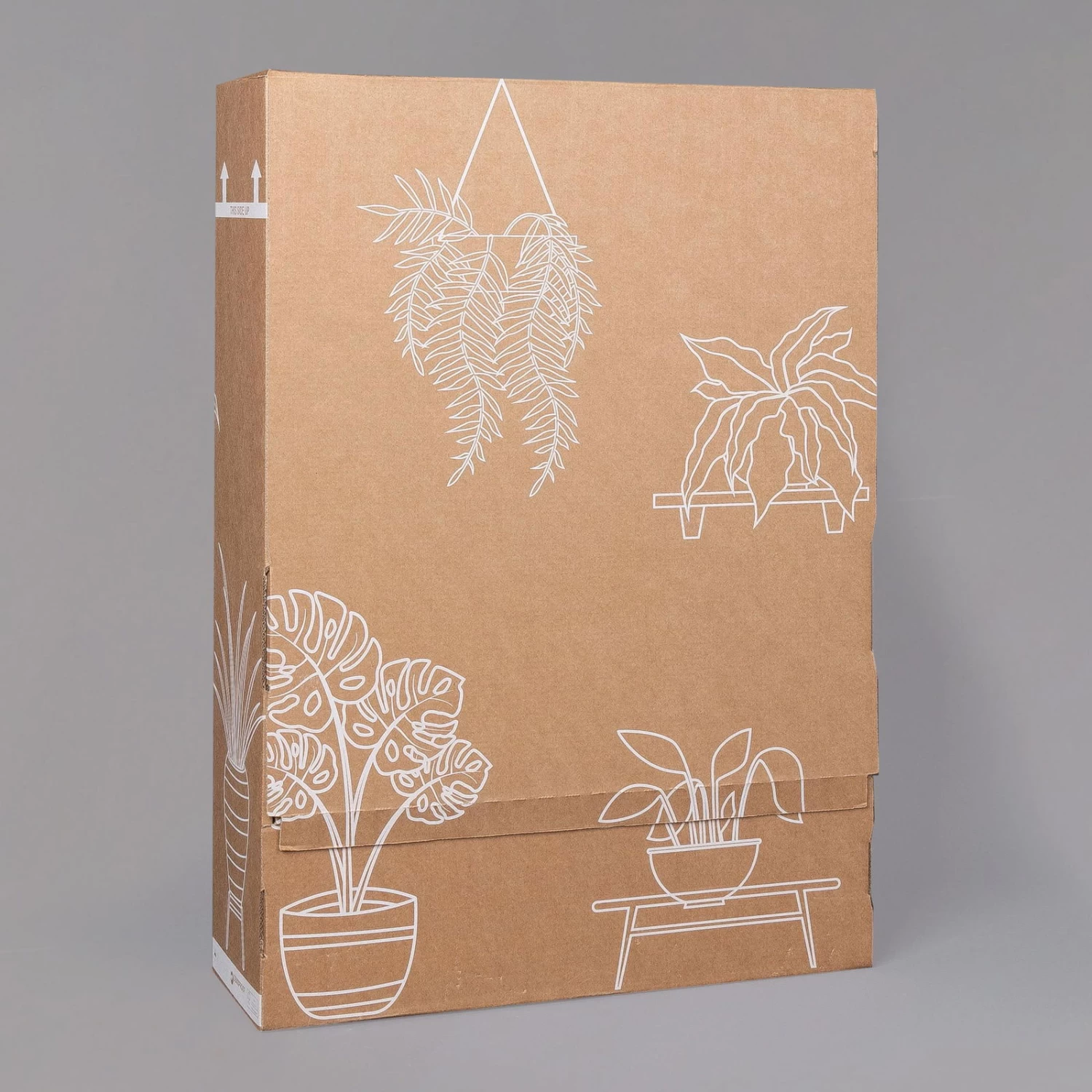 Rose Mit Topf Dallas Weiß, Topf-Ø 13 Cm, 3er-Set – Bild 5