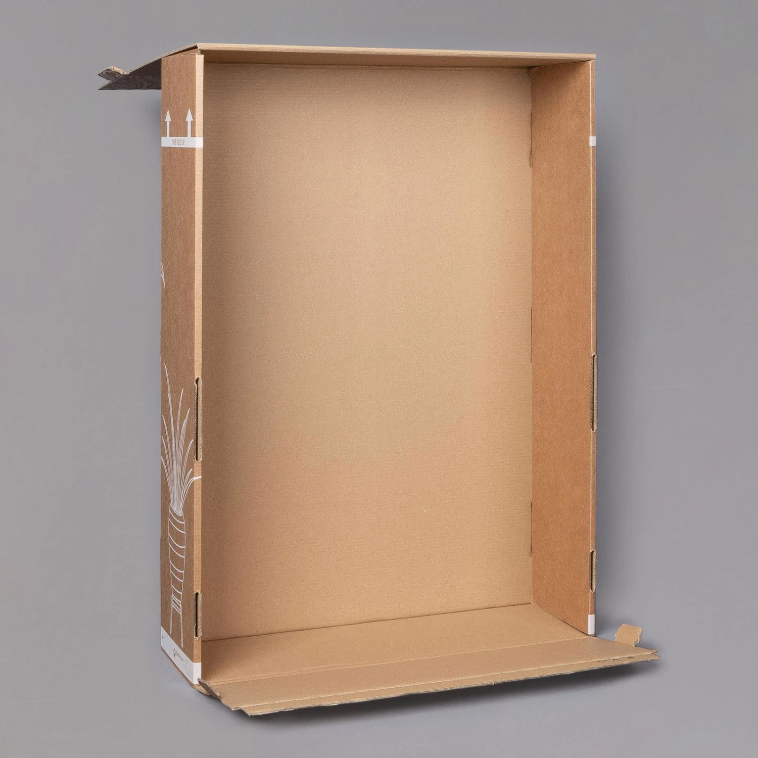 Rose Mit Topf Dallas Weiß, Topf-Ø 13 Cm, 3er-Set – Bild 3